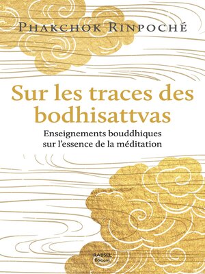 cover image of Sur les traces des bodhisattvas